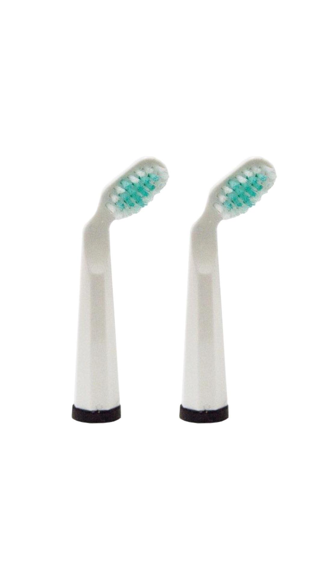 Tête de brosse à dents de rechange blanche (lot de 2)