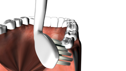 Kyoui Replacement Toothbrush Heads - DAY TIME (TEETH CLEANING) - White (Pack of 2) - Kyoui