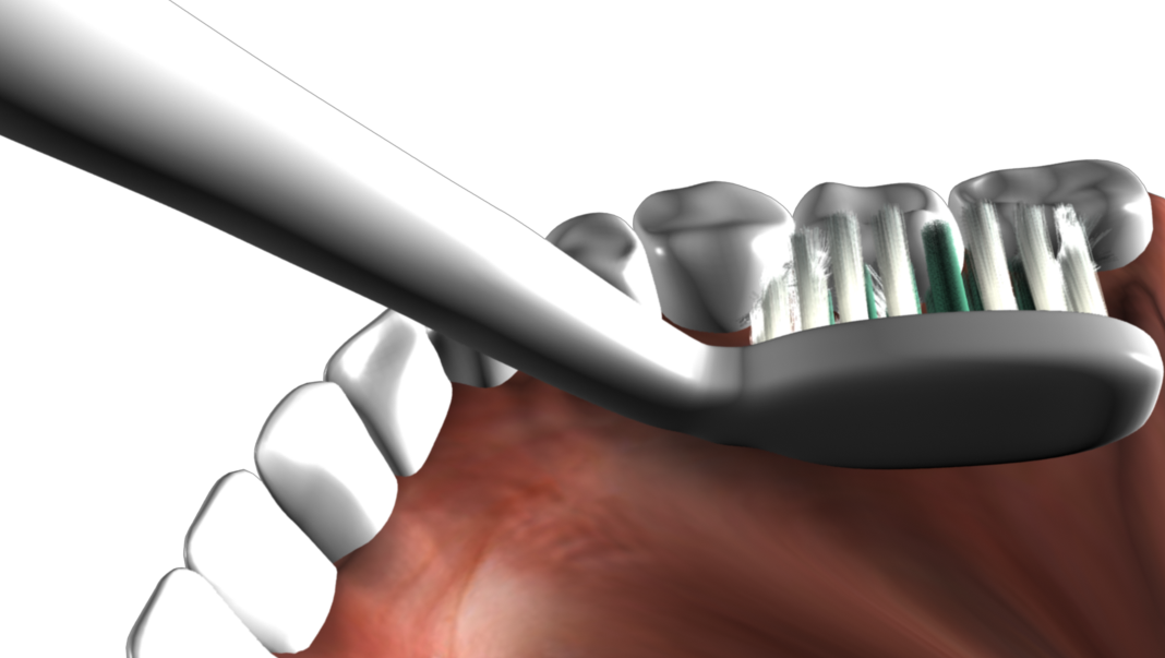 Kyoui Replacement Toothbrush Heads - DAY TIME (TEETH CLEANING) - White (Pack of 2) - Kyoui