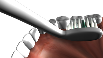 Kyoui Replacement Toothbrush Heads - DAY TIME (TEETH CLEANING) - White (Pack of 2) - Kyoui