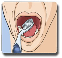 Kyoui Adults (#40) - Angled Toothbrush for Adults - Kyoui